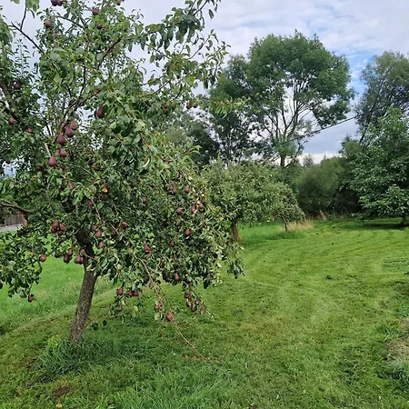 Semesterbostad Panorama Kozakov