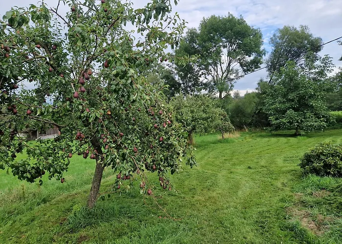 Nyaraló Panorama Kozakov