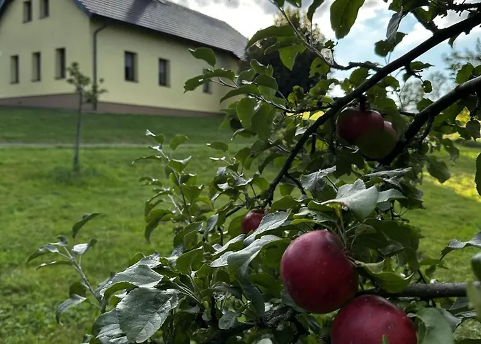 Tatil Evi Panorama Kozakov Chuchelna (Liberec)